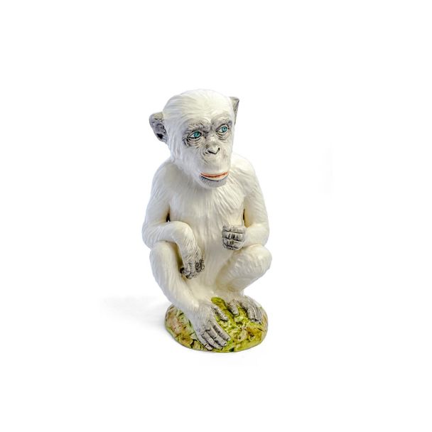 Macaco Branco